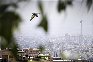 6 شهر تهران در وضعیت قرمز آلودگی هوا و ناسالم
