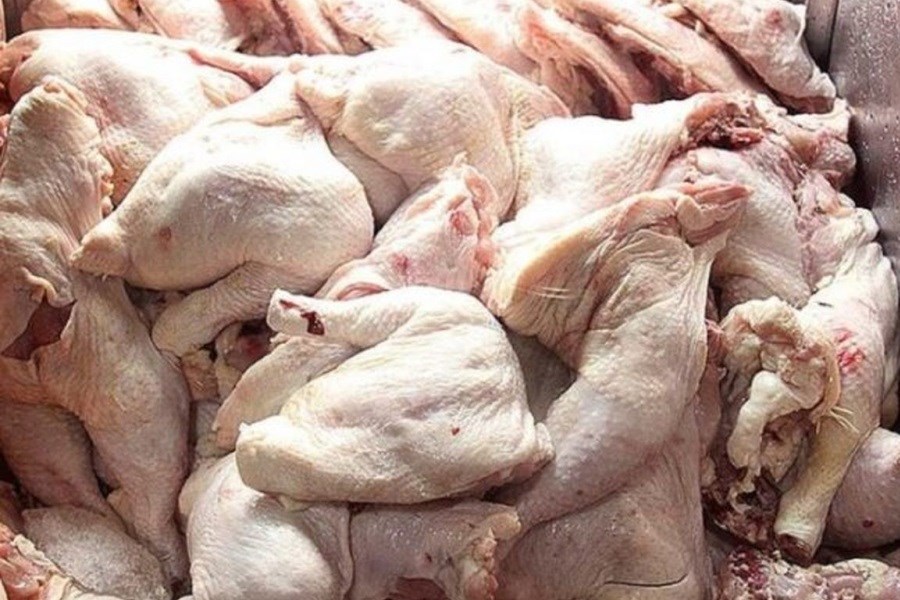 تصویر کشتار مرغ ۴ درصد افزایش یافت