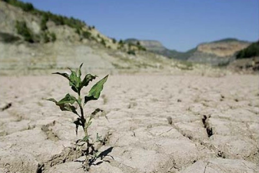 تصویر خشکسالی‌های ایران نسبت به گذشته طولانی‌تر و شدیدتر شده است