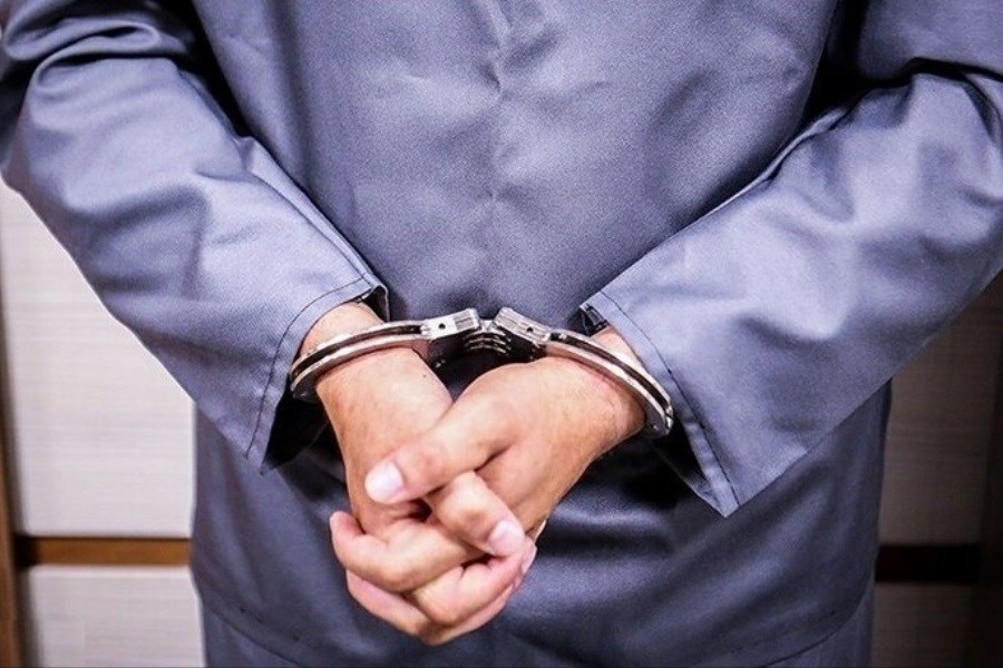 دستگیری 11 سارق و قاچاقچی در سمنان