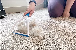 جمع کردن مو از روی موکت و فرش با ۹ ترفند ساده