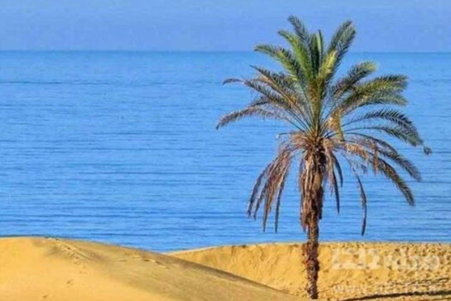 تصویر « دَرَک»، ساحلی زیبا در چابهار
