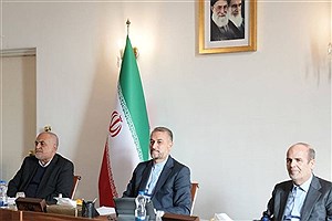 تلاش وزارت خارجه برای تسهیل ارائه خدمات مورد نیاز ایرانیان خارج از کشور