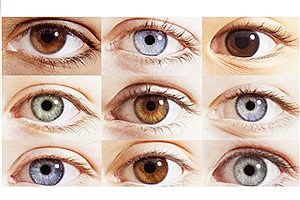 آیا رنگ چشم بر توانایی خواندن تاثیر دارد؟