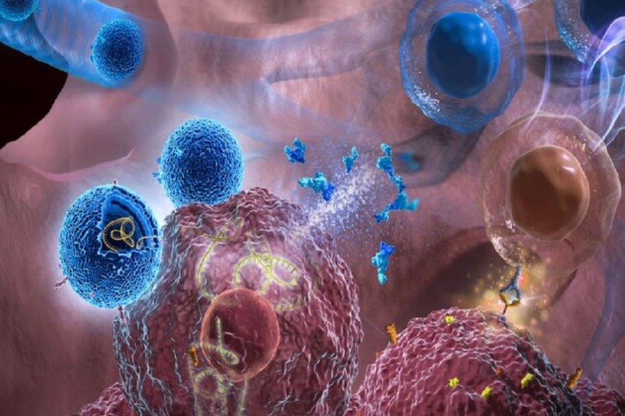کمک نانوحباب‌های زیستی در درمان بیماران مبتلا به سرطان ریه