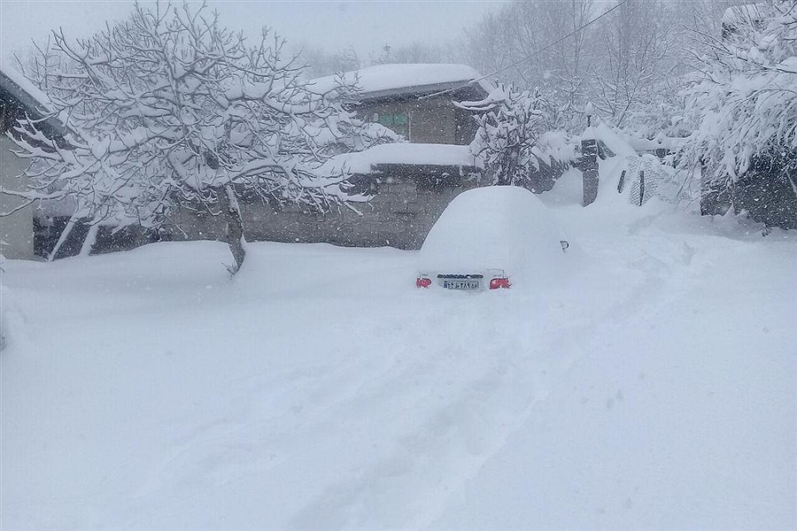 بارش باورنکردنی برف در این منطقه از تهران!