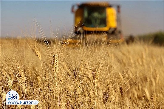 واریز قطره‌چکانی باقی‌مانده مطالبات گندم‌کاران&#47; اعتراض کشاورزان به خلف وعده دولت
