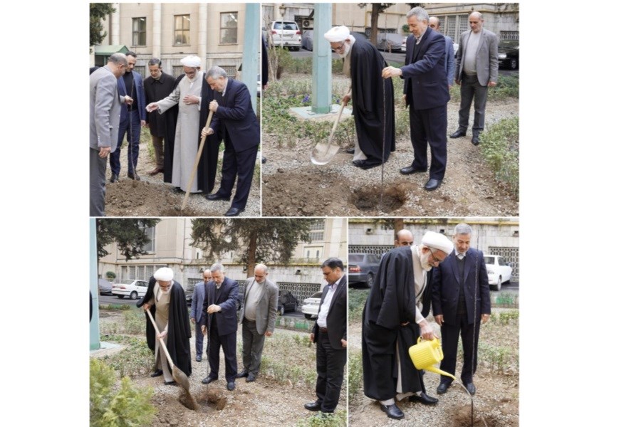 تصویر غرس یک اصله نهال میوه توسط رئیس دیوان عالی کشور به مناسبت روز درختکاری