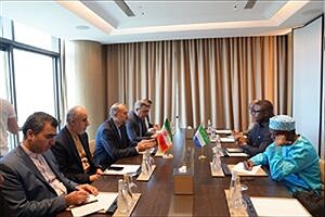 دیدار امیرعبداللهیان و وزیر خارجه سیرالئون