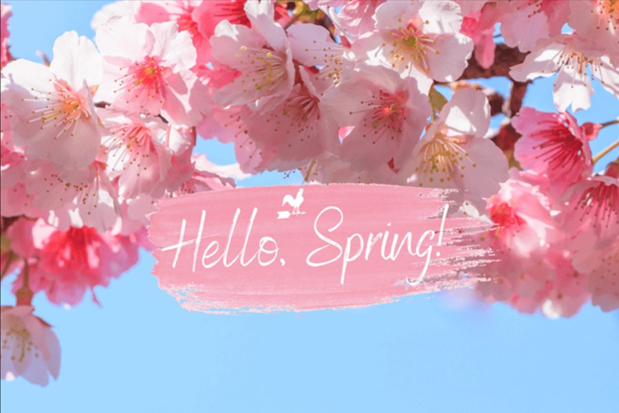 تصویر تبریک فرا رسیدن فصل بهار + عکس، متن و پیام تبریک ۱۴۰۳