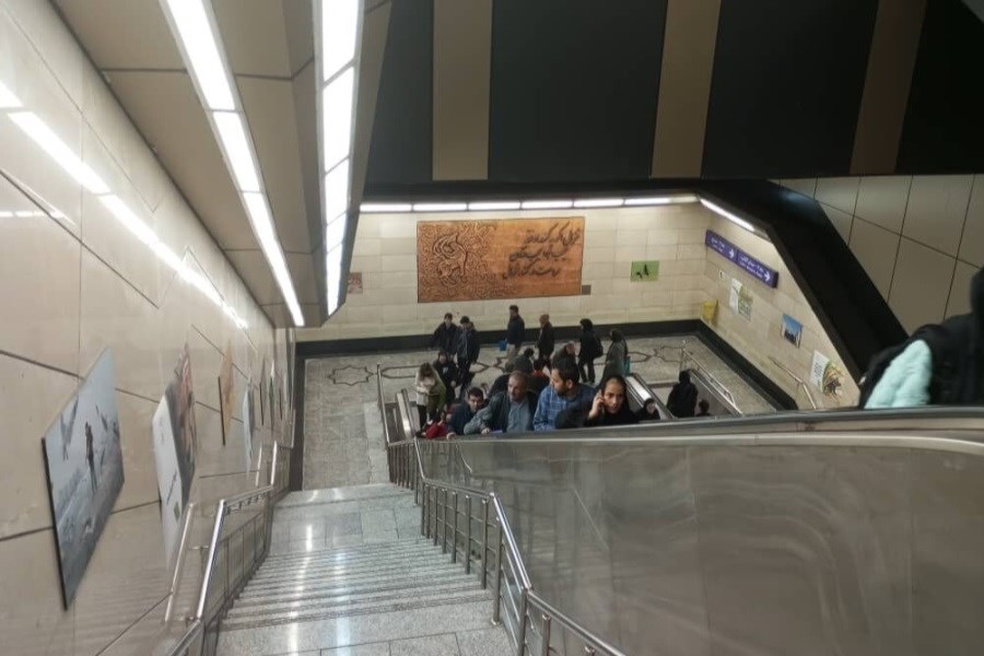 تصویر از دیدن این حیوانات در مترو تهران تعجب نکنید!
