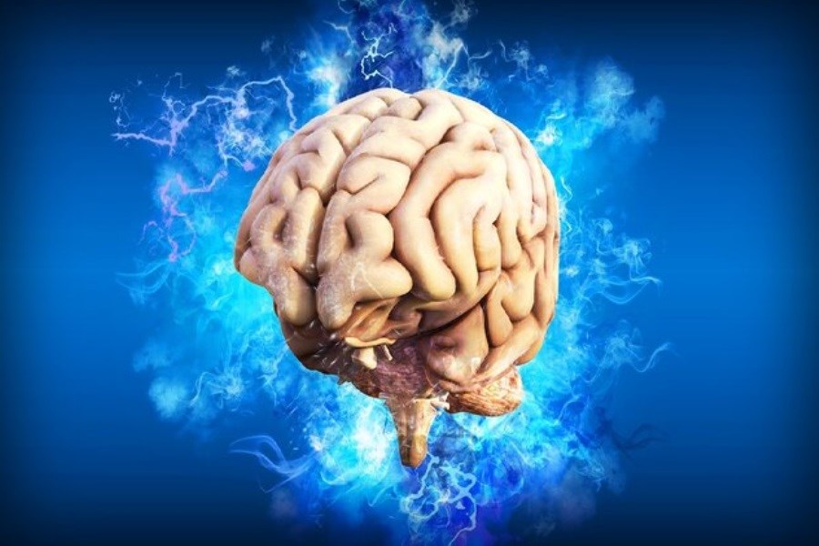 تصویر کشف راز ابتلا به آلزایمر، پارکینسون و سکته مغزی