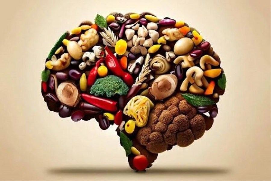 تصویر بهترین رژیم غذایی برای مغز و حافظه