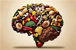 بهترین رژیم غذایی برای مغز و حافظه