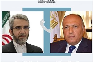 وزیر خارجه مصر و علی‌باقری با یکدیگر گفتگو کردند