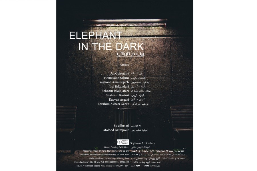 تصویر «فیل در تاریکی» در سیحون به نمایش گذاشته می‌شود