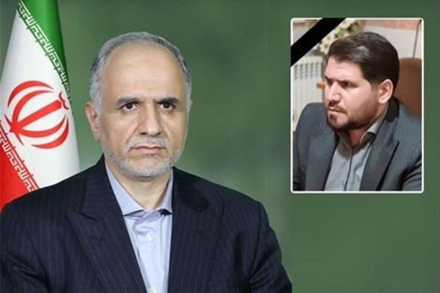 تصویر رئیس سازمان تعزیرات مأمور پیگیری پرونده قتل حامد ترکاشوند شد