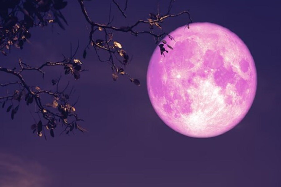تصویر ماه کامل توت فرنگی به زودی طلوع می‌کند