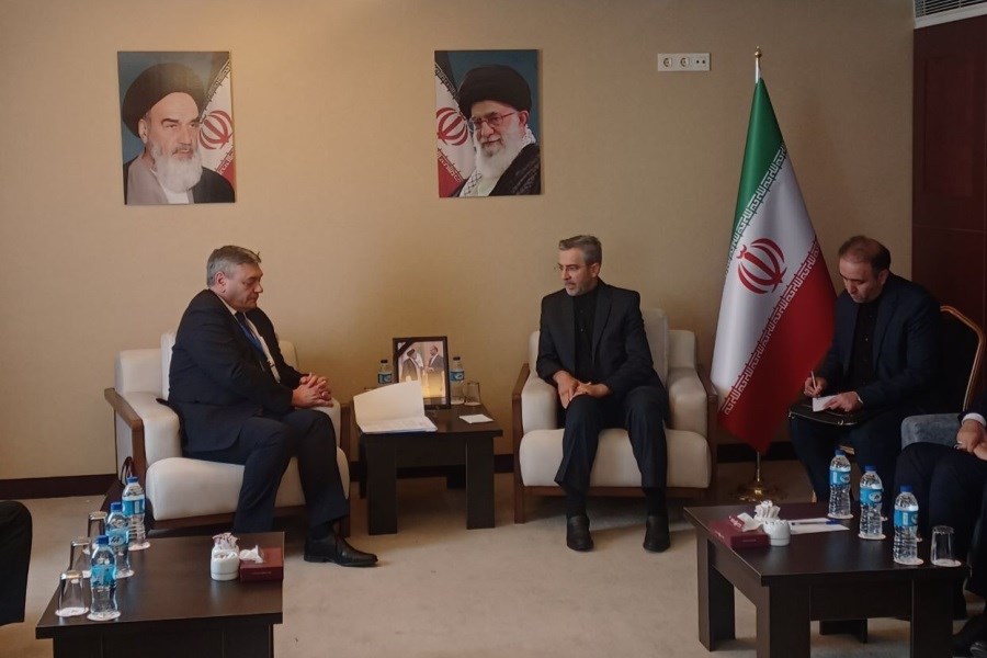 معاون وزیر خارجه روسیه با علی باقری گفتگو کرد