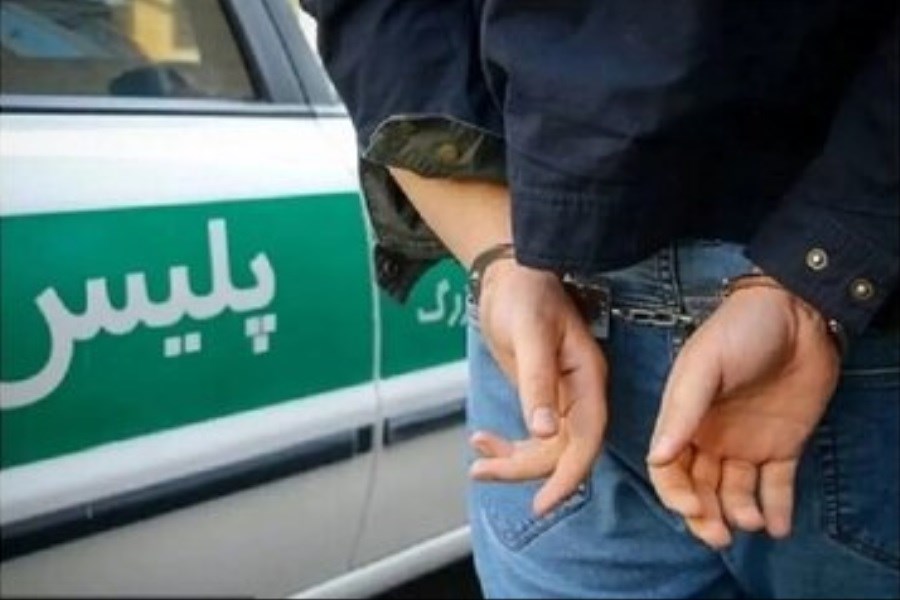 تصویر شرور مسلح در خیابان سهرودی تهران دستگیر شد