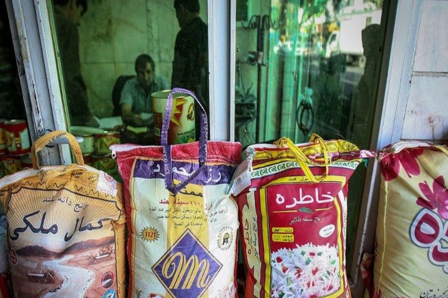 تصویر برنج ایرانی ارزان شد