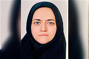 نقدی بر فعالیت احزاب در ایران: بعد از انتخابات تا اطلاع ثانوی تعطیل!