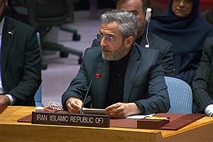سازمان ملل با اقدامات ضروری جنایت غزه را متوقف کند