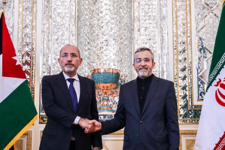 تصویر وزیر خارجه اردن با باقری در تهران رایزنی کرد