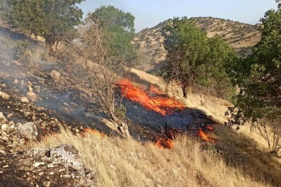 تصویر یک کارگر همدانی بر اثر آتش‌سوزی جان خود را از دست داد