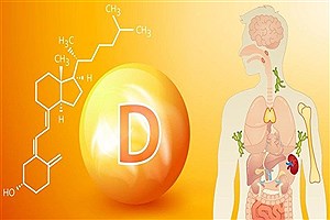 اهمیت مصرف ویتامین D در نیمه دوم سال