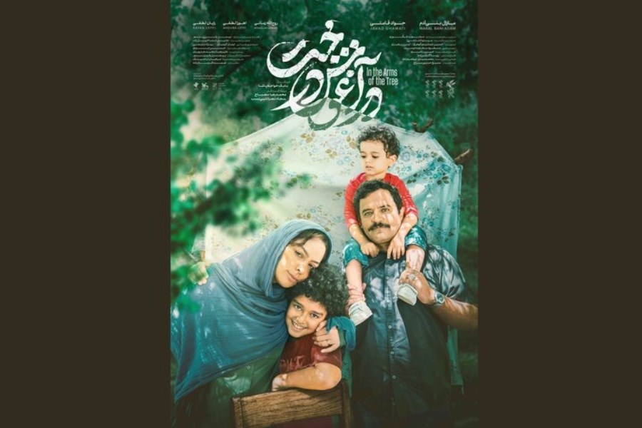 نگاهی به فیلم «در آغوش درخت»&#47; طلاق از زاویه دید بچه‌ها