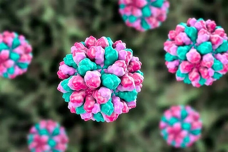 تصویر هشدار در مورد بیماری خطرناک این روزها؛ ویروس تهوع زمستانی