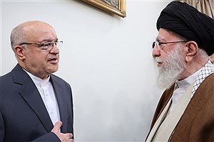 مجتبی امانی با رهبر معظم انقلاب دیدار کرد