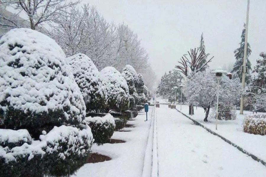 بارش برف و باران و کاهش دما در تهران