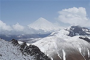 قصه خواندنی؛ فیلی که در شمال تهران زندگی می‌کند!