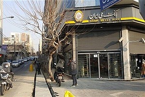 سخنگوی شورای شهر تهران: نام خیابان بیستون تغییر نمی‌کند