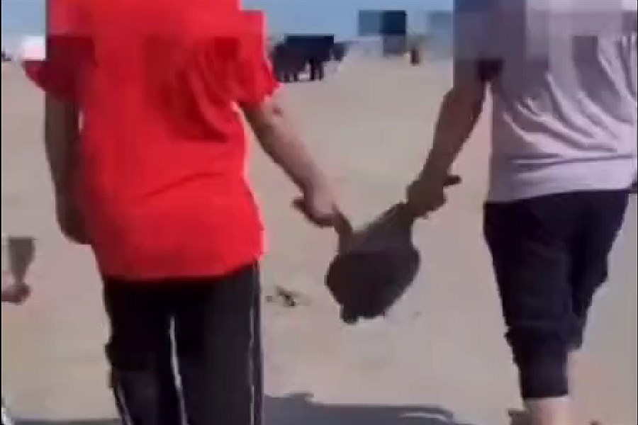 رفتار زشت گردشگران با لاک‌پشت کمیاب در قشم + ویدئو