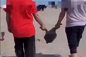رفتار زشت گردشگران با لاک‌پشت کمیاب در قشم + ویدئو