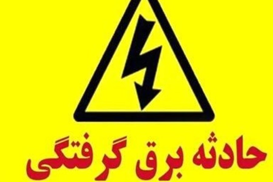 تصویر مرگ‌ و میر ناشی از برق‌گرفتگی در البرز افزایش یافت