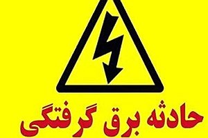 مرگ‌ و میر ناشی از برق‌گرفتگی در البرز افزایش یافت