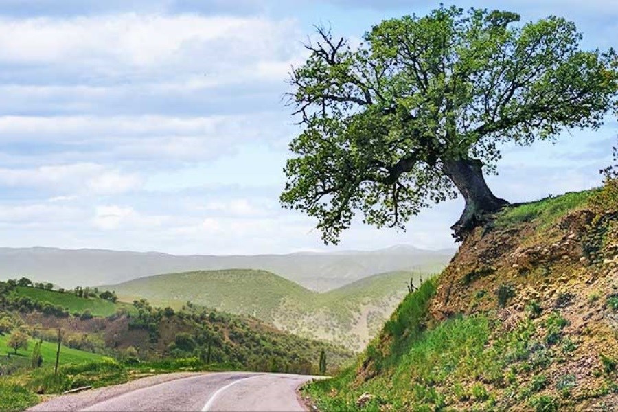 ۱۱ مسیر گردشگری جدید پایتخت در ایام نوروز ۱۴۰۴ رونمایی می‌شود