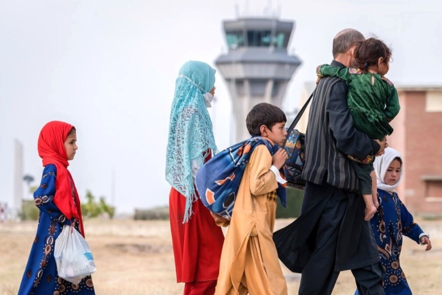 تصویر برخورد با تخلف ارائه اِسکان و اشتغال اتباع غیرمجاز در تهران