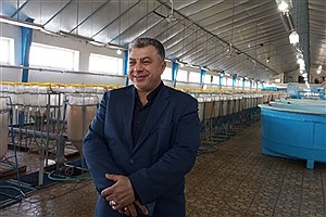 شیلات گیلان از تعهد تولید برنامه هفتم توسعه جلوتر است