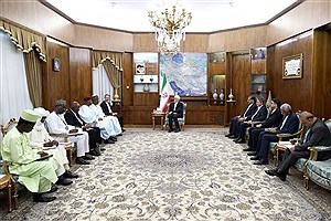 تأکید ایران و نیجر بر توسعه همکاری در سه حوزه نفت، کشاورزی و انرژی پایدار