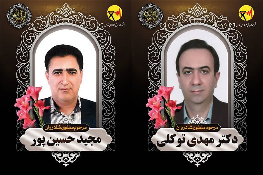 شهادت دو تن از کارکنان برق منطقه‌ای فارس در حین انجام مأموریت