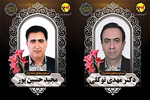 شهادت دو تن از کارکنان برق منطقه‌ای فارس در حین انجام مأموریت