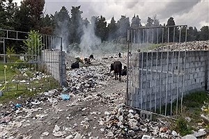 شهردار و سه دهیار این شهر به دادگاه معرفی شدند
