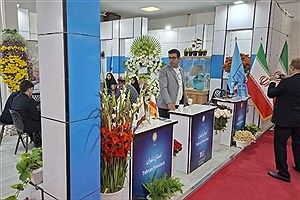 ۱۷ پروژه‌ توسعه‌ای در حوزه صنایع‌دستی آماده سرمایه‌گذاری