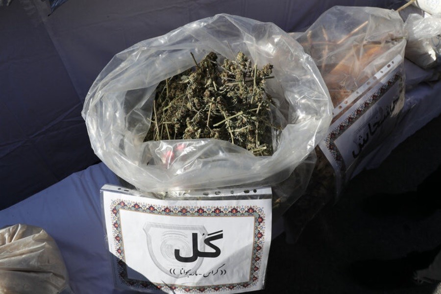 تصویر کشف ۲۰ کیلو مواد روانگردان گُل در ورودی تهران
