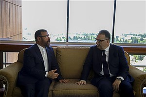 شرکت هواپیمایی مشترک با کشورهای حوزه ایران فرهنگی راه‌اندازی شود